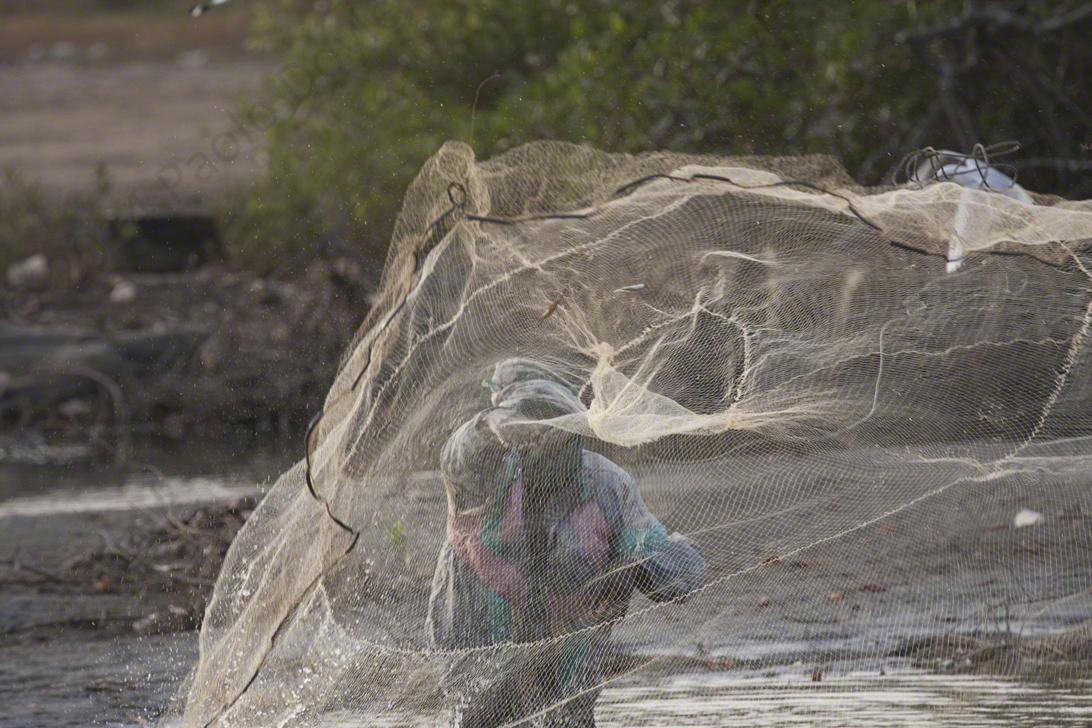 Paolo Doyle - Fisherman, River Gambia.
